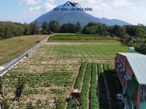 Đất Nền Tây Ninh Gần Chợ Thạnh Tân Thành Phố Tây Ninh 19 1