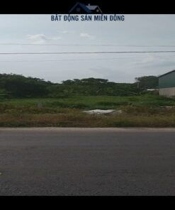 Bán Lô Đất Phú Giáo Bình Dương Mặt Tiền DH516. 4 1