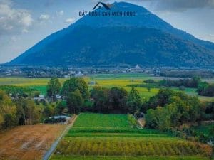 Đất Nền Tây Ninh Gần Chợ Thạnh Tân Thành Phố Tây Ninh 50