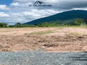 đất sào giá rẻ