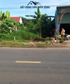 Đất Phú Giáo Bình Dương
