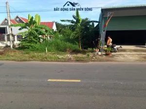 Đất Phú Giáo Bình Dương
