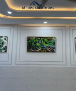 Ban nha Tan Phuoc Khanh 6