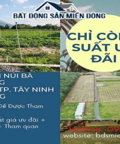 Dat Nen Tay Ninh