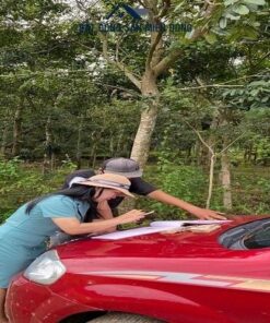Đất thổ cư sổ sẳn Bình Phước