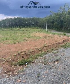 Đất thổ cư sổ sẳn Bình Phước