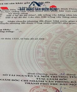Bán đất phường Định Hòa Thủ Dầu Một Bình Dương
