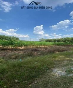 Đất Chơn Thành Bình Phước Full Thổ Cư. 4 10