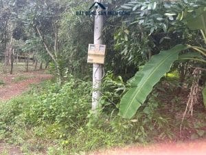 Đất thổ cư sổ sẳn Bình Phước