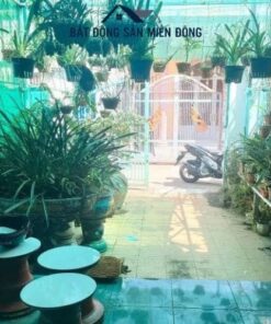 thuê nhà ở thủ dầu một