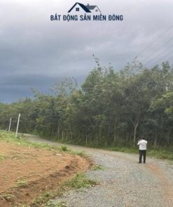 Đất thổ cư sổ sẳn Bình Phước