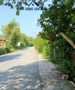 Bán đất nền Bến Cát giá rẻ 1 tỷ 350 đất nền Bến Cát giá rẻ
