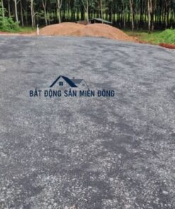 Bán Đất Tại Xã Tân Phước Huyện Đồng Phú Bình Phước bán đất tân phước đồng phú