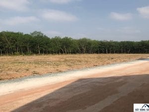 Đất Minh Thắng Chơn Thành - Đáo Hạn Cắt Lỗ 200 Triệu dat minh thang chon thanh so 5