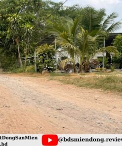 dat nen tan bien tay ninh so 01