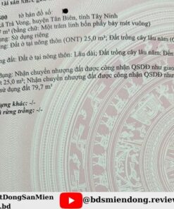 dat nen tan bien tay ninh so 05
