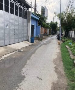 IMG 0660