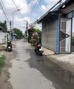 IMG 0661