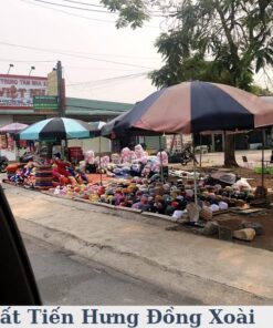 ban dat tien hung dong xoai so 4