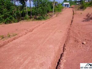 thi tran tan phu so 3