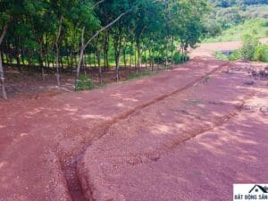 thi tran tan phu so 4