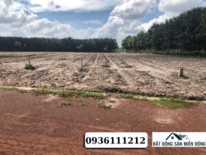 dat-ap-2-minh-thang-chon-thanh-gia-tot