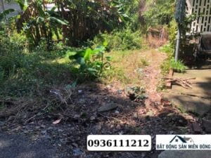 minh-lap-chon-thanh-binh-phuoc