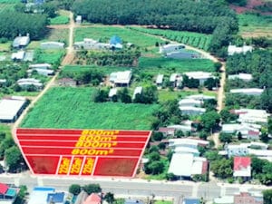 Ảnh tổng quan lô đất 5x47m, bán đất Tân Phú Đồng Phú Bình Phước