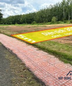 Đường nhựa vỉa hè trước lô bán đất nền Đồng Phú Bình Phước có hạ tầng hoàn chỉnh