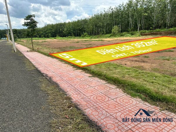 Đường nhựa vỉa hè trước lô bán đất nền Đồng Phú Bình Phước có hạ tầng hoàn chỉnh