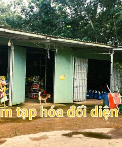 Tiệm tạp hóa đối diện lô đất tại xã Đồng Tâm.